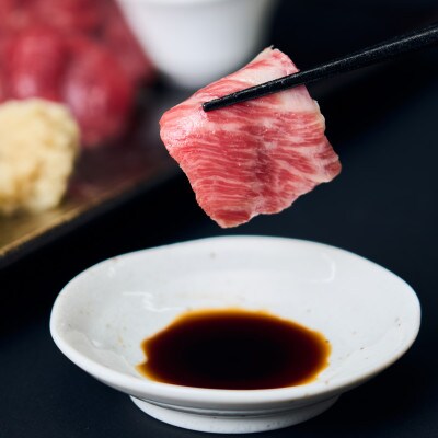 鮮馬刺しスライス4種バラエティーセット(合志市)