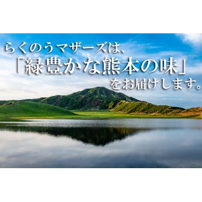 牛乳　らくのう特濃4.3 1000ml×6本(合志市)