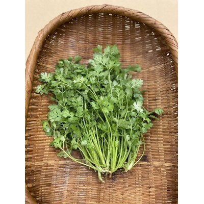合志市産パクチー　300g×1袋