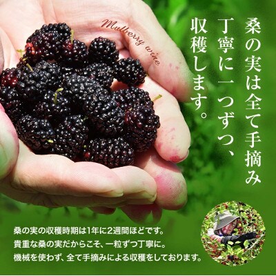 桑の実ワイン甘口・辛口2本セット