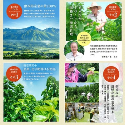 樹木医が育てた桑の葉茶(粉末)50g×5袋