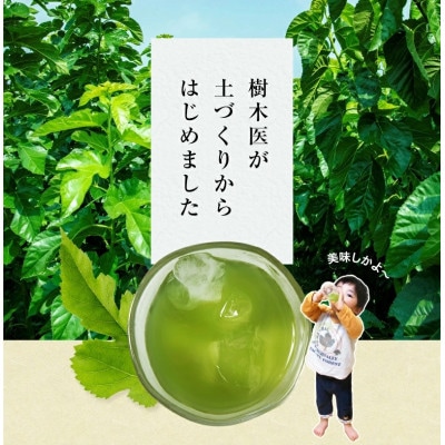 桑の葉茶 ティーバッグ　30P(各3g)2袋