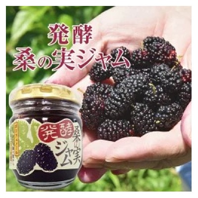 発酵桑の実 ジャム 2個セット(100g×2)