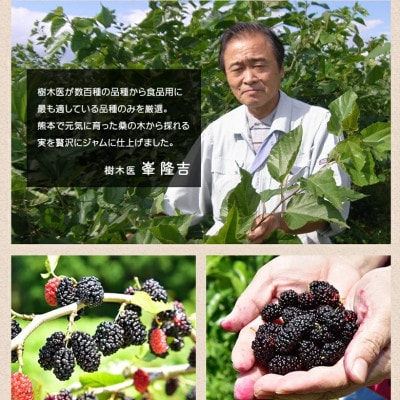 発酵桑の実 ジャム 3個セット(100g×3)