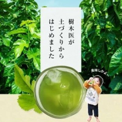 【毎月定期便】樹木医が育てた桑の葉茶(粉末)50g×1袋全3回