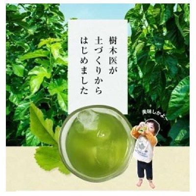 【毎月定期便】樹木医が育てた桑の葉茶(粉末)50g×1袋全6回
