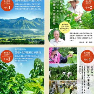 【毎月定期便】樹木医が育てた桑の葉茶(粉末)50g×1袋全6回