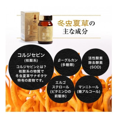 【毎月定期便】【峯王】冬虫夏草(12.3g(205mg×60粒))全3回