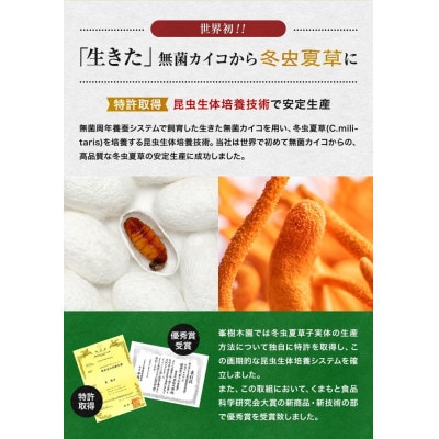 【毎月定期便】【峯王】冬虫夏草(12.3g(205mg×60粒))全3回
