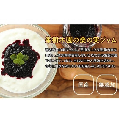 【毎月定期便】発酵桑の実 ジャム 2個セット(100g×2)全3回