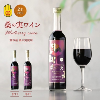 【毎月定期便】桑の実ワイン甘口・辛口2本セット(各500ml)全3回