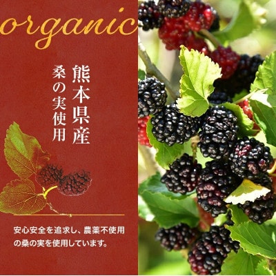 【毎月定期便】桑の実ワイン甘口・辛口2本セット(各500ml)全3回