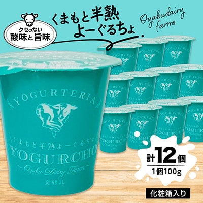 【乳酸菌は通常ヨーグルトの約3000倍!】くまもと半熟よーぐるちょ100g×12本