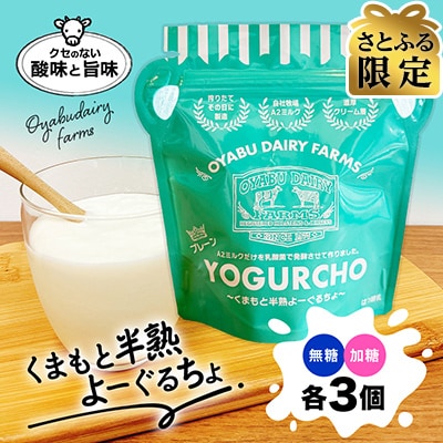 【さとふる限定】くまもと半熟よーぐるちょパック 350g(無糖・加糖) 各3個 計6個セット
