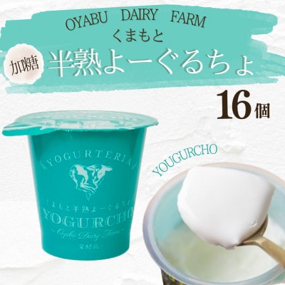 くまもと半熟よーぐるちょ 16個(各100g)【乳酸菌は通常ヨーグルトの約3000倍!】