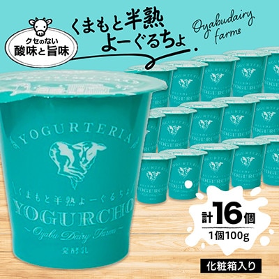 くまもと半熟よーぐるちょ 16個(各100g)【乳酸菌は通常ヨーグルトの約3000倍!】