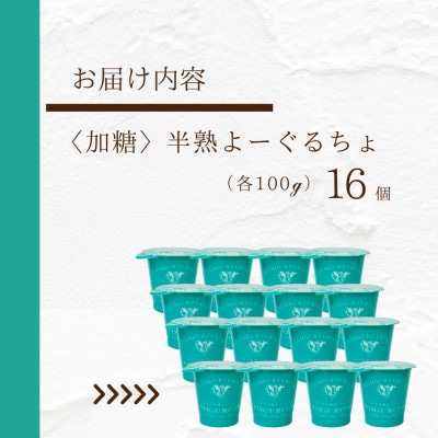 くまもと半熟よーぐるちょ 16個(各100g)【乳酸菌は通常ヨーグルトの約3000倍!】