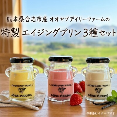 オオヤブデイリーファーム特製!エイジングプリン3本ギフト