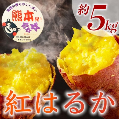 紅はるか　約5kg(9～38個)さつまいも(合志市)