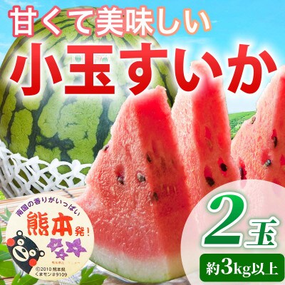 小玉すいか 3L 2玉 約3kg(合志市)
