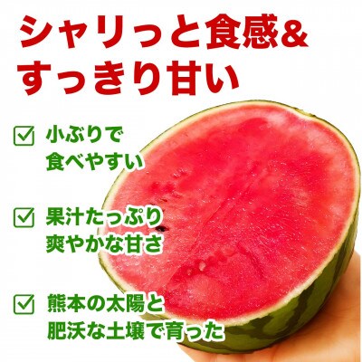 小玉すいか 3L 2玉 約3kg(合志市)