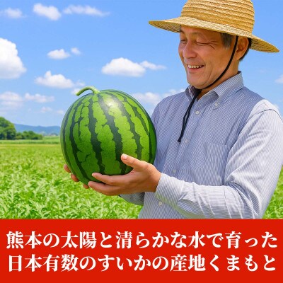 大玉すいか S以上 1玉 約2kg(合志市)