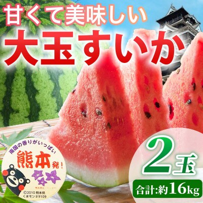 大玉すいか 3L以上 2玉 約16kg(合志市)