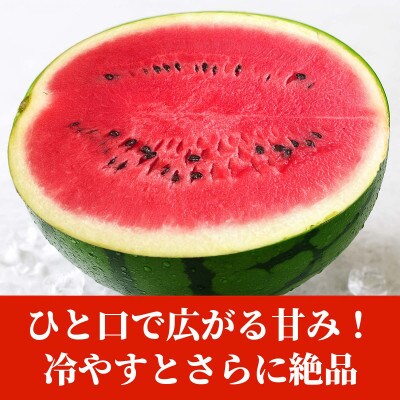 大玉すいか 3L以上 2玉 約16kg(合志市)