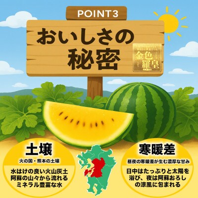 金色羅皇 すいか 3L以上 2玉 約16kg(合志市)