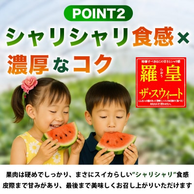 羅皇ザ・スウィート すいか 2L以上 1玉 約7kg(合志市)