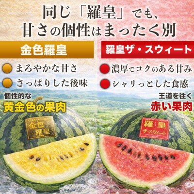 羅皇2種(赤・黄)すいか 食べ比べ 2玉 約14kg(合志市)