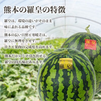 羅皇2種(赤・黄)すいか 食べ比べ 2玉 約14kg(合志市)