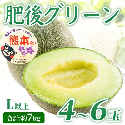 肥後グリーンメロン 4～6玉 L以上 約7kg(合志市)