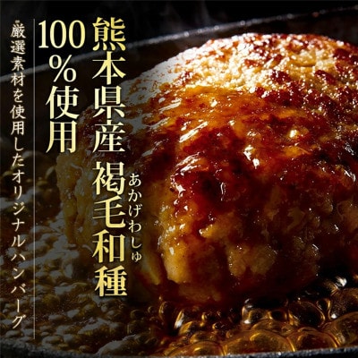 【毎月定期便】熊本県産あか牛 和牛100% オリジナルハンバーグ 150g×10個(合志市)全6回