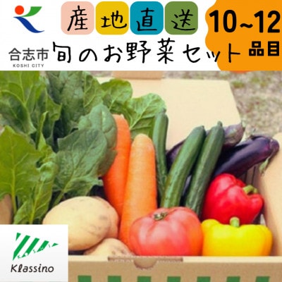 熊本県合志市の旬のお野菜セット10～12品目