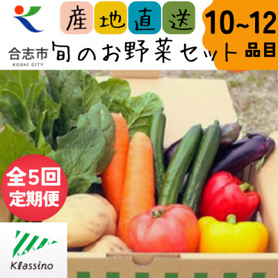 【発送月固定定期便】熊本県合志市の旬のお野菜セット10～12品目全5回