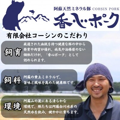 熊本県産「香心ポーク」切り落とし 約250g×14パック(計約3.5kg)(合志市)