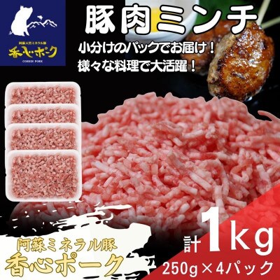 熊本県産「香心ポーク」ミンチ 約250g×4パック(計約1kg)(合志市)