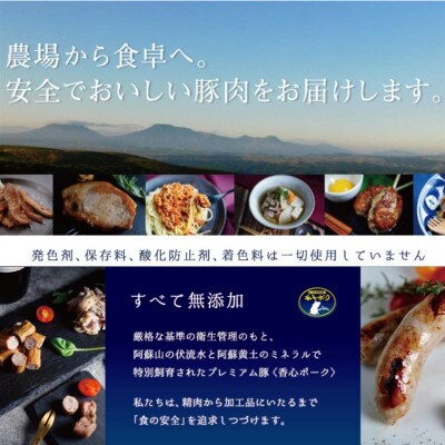 熊本県産「香心ポーク」ミンチ 約250g×4パック(計約1kg)(合志市)