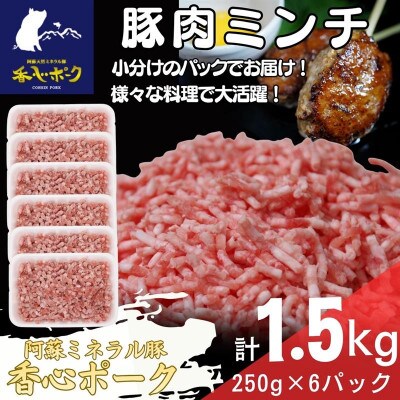 熊本県産「香心ポーク」ミンチ 約250g×6パック(計約1.5kg)(合志市)