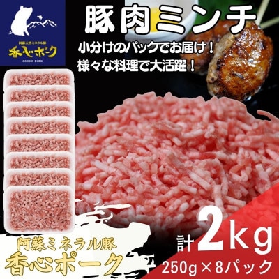 熊本県産「香心ポーク」ミンチ 約250g×8パック(計約2kg)(合志市)