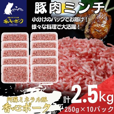 熊本県産「香心ポーク」ミンチ 約250g×10パック(計約2.5kg)(合志市)