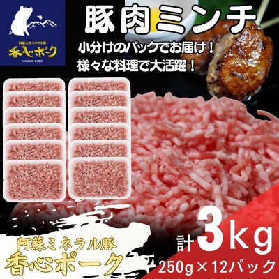 熊本県産「香心ポーク」ミンチ 約250g×12パック(計約3kg)(合志市)