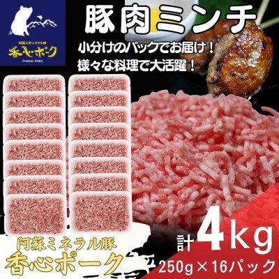 熊本県産「香心ポーク」ミンチ 約250g×16パック(計約4kg)(合志市)