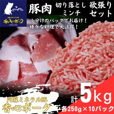 熊本県産『香心ポーク』切り落とし・ミンチセット 各約250g×10パック(計約5kg)(合志市)