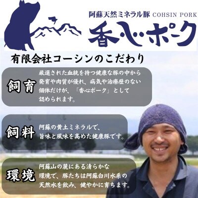 熊本県産『香心ポーク』切り落とし・ミンチセット 各約250g×10パック(計約5kg)(合志市)