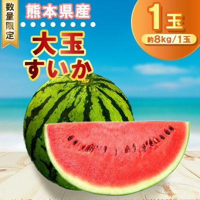【2026年発送分先行予約】【数量限定】大玉 西瓜 1玉入り 約8kg GGYパッケージ(合志市)