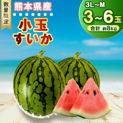 【2026年発送分先行予約】【数量限定】こだま西瓜 1箱約8kg (3L～M 3～6玉入)(合志市)