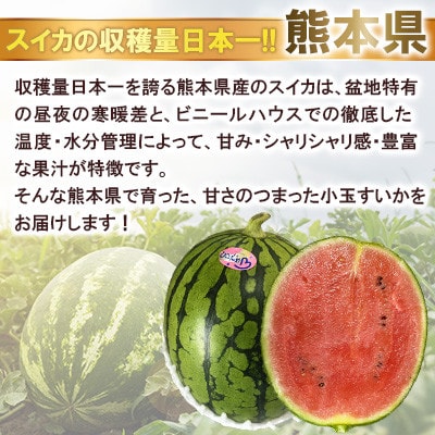 【2026年発送分先行予約】【数量限定】こだま西瓜 1箱約8kg (3L～M 3～6玉入)(合志市)