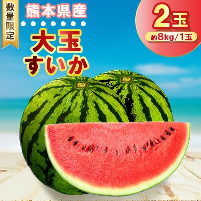【2026年発送分先行予約】【数量限定】大玉 西瓜 2玉入り (1玉約8kg以上×2玉)(合志市)